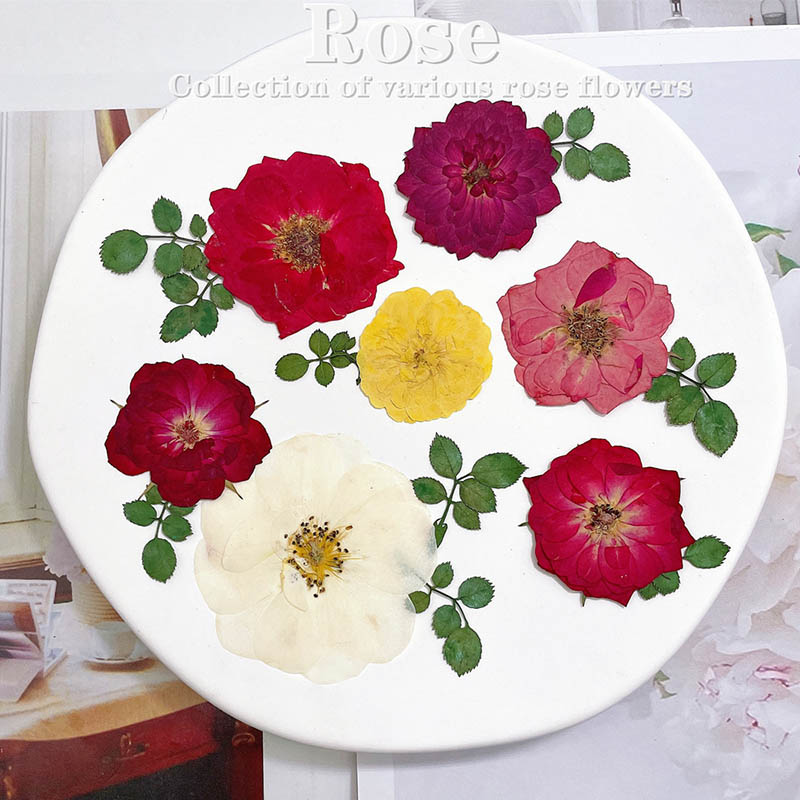 60 ชิ้น Pressed แห้งสีแดงสีเหล - Dried Flower Bookmark บทวิจารณ์และราคา