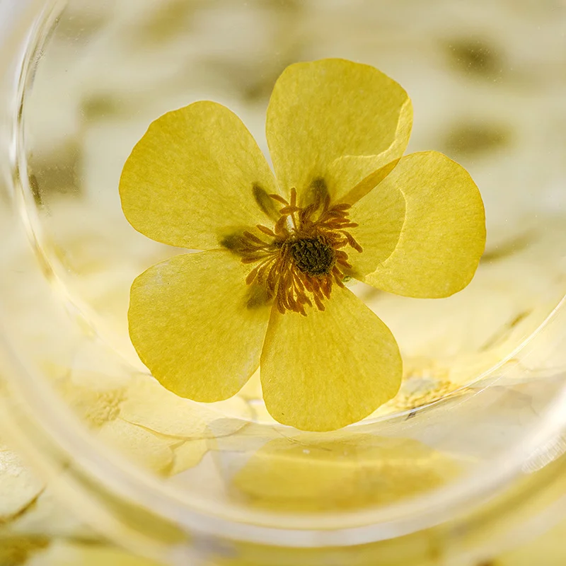 ดอกไม้แห้งแรนันคูลัส 100 ชิ้น  - Dried Flower Bookmark บทวิจารณ์และราคา